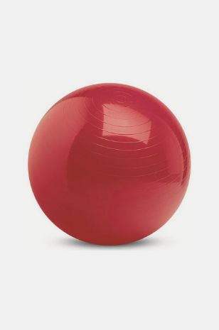 תמונה של כדור פיזיו 55 ס"מ